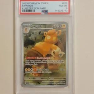 Pawmot - Pokemon Scarlet and Violet Base Set #209 - Near Mint to Mint PSA 8